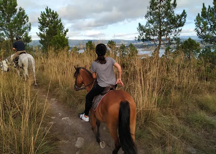 Marismas Lanzada * Sanxenxo